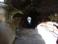 Sequoia NP